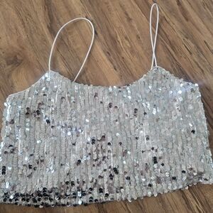 Sequin Silver Crop Top